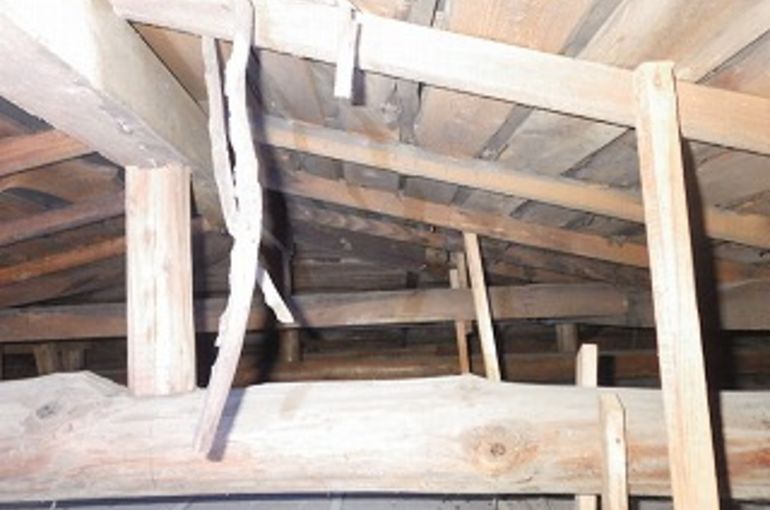 床下・小屋裏調査のプロフェッショナル