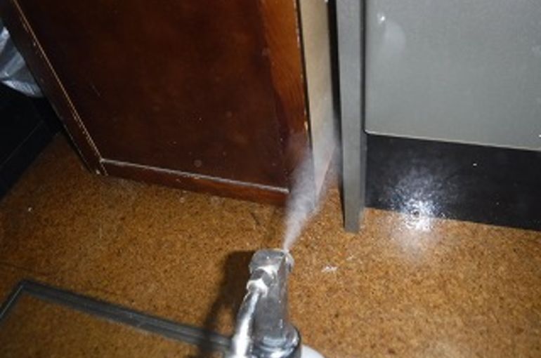 害虫駆除工事