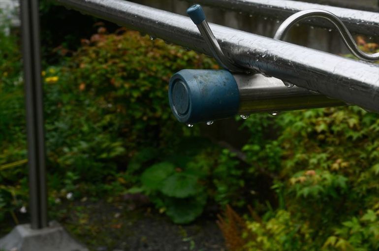 庭の病害虫駆除は雨の日でも問題ない？