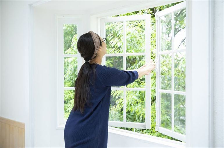 部屋の中でできる害虫対策を紹介
