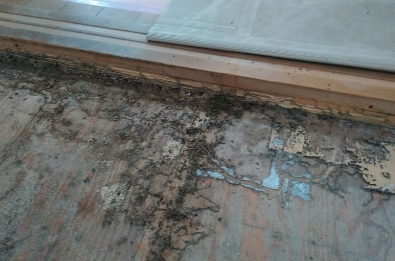 シロアリ駆除工事