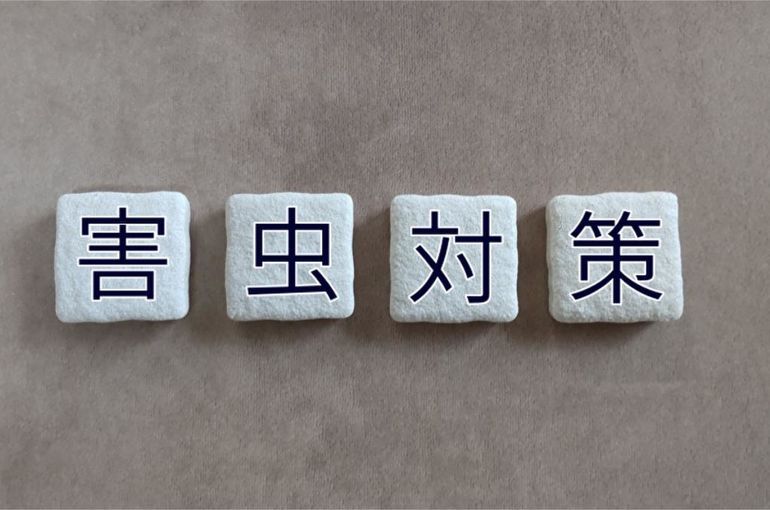 賃貸で害虫駆除はいらない？様々なケースをご紹介