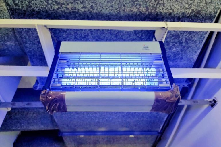 害虫駆除ランプの設置法と効果を最大化する対策