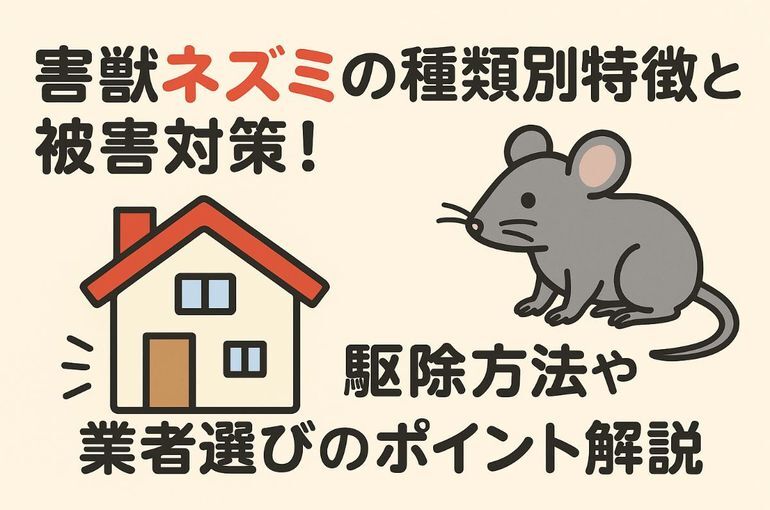 害獣ネズミの種類別特徴と被害対策！駆除方法や業者選びのポイント解説