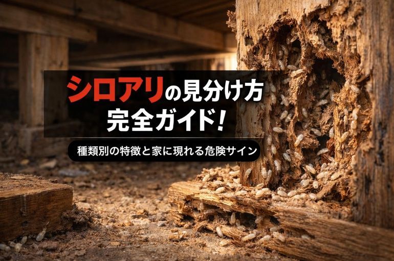 シロアリの見分け方完全ガイド！種類別の特徴と家に現れる危険サイン