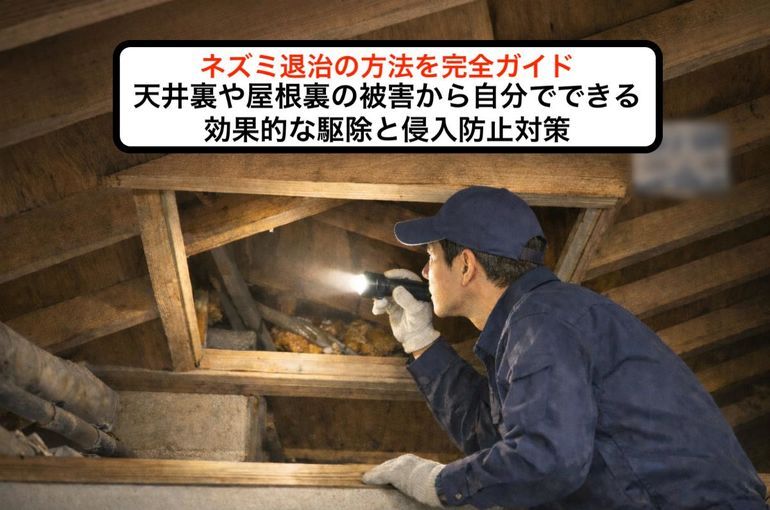 ネズミ退治の方法を完全ガイド｜天井裏や屋根裏の被害から自分でできる効果的な駆除と侵入防止対策