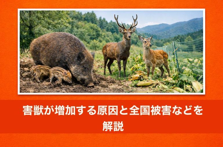 害獣が増加する原因と全国被害などを解説