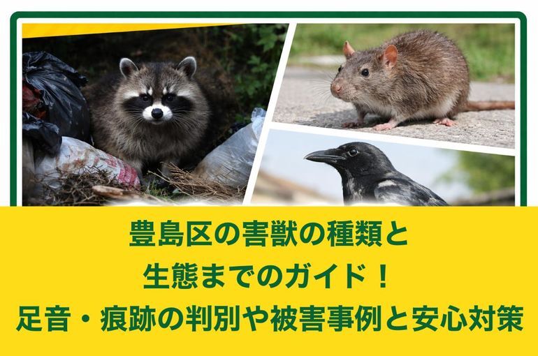 豊島区の害獣の種類と生態までのガイド！足音・痕跡の判別や被害事例と安心対策