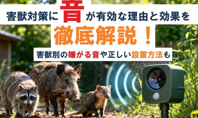 画像1957：害獣対策に音が有効な理由と効果を徹底解説！害獣別の嫌がる音や正しい設置方法も
