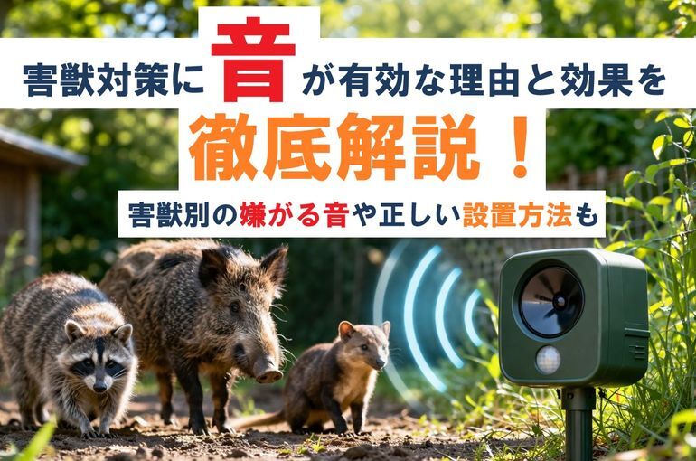害獣対策に音が有効な理由と効果を徹底解説！害獣別の嫌がる音や正しい設置方法も