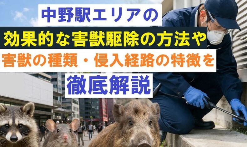 画像1959：中野駅エリアの効果的な害獣駆除の方法や害獣の種類・侵入経路の特徴を徹底解説