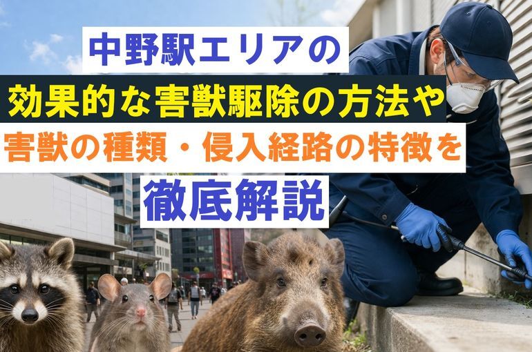 中野駅エリアの効果的な害獣駆除の方法や害獣の種類・侵入経路の特徴を徹底解説