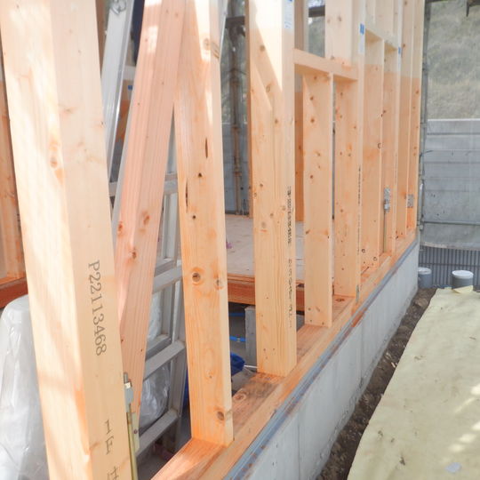 東京・神奈川の新築を守る――木材保存センターの防蟻・防腐哲学