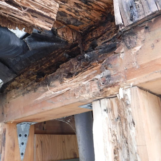 木材に大きな腐朽