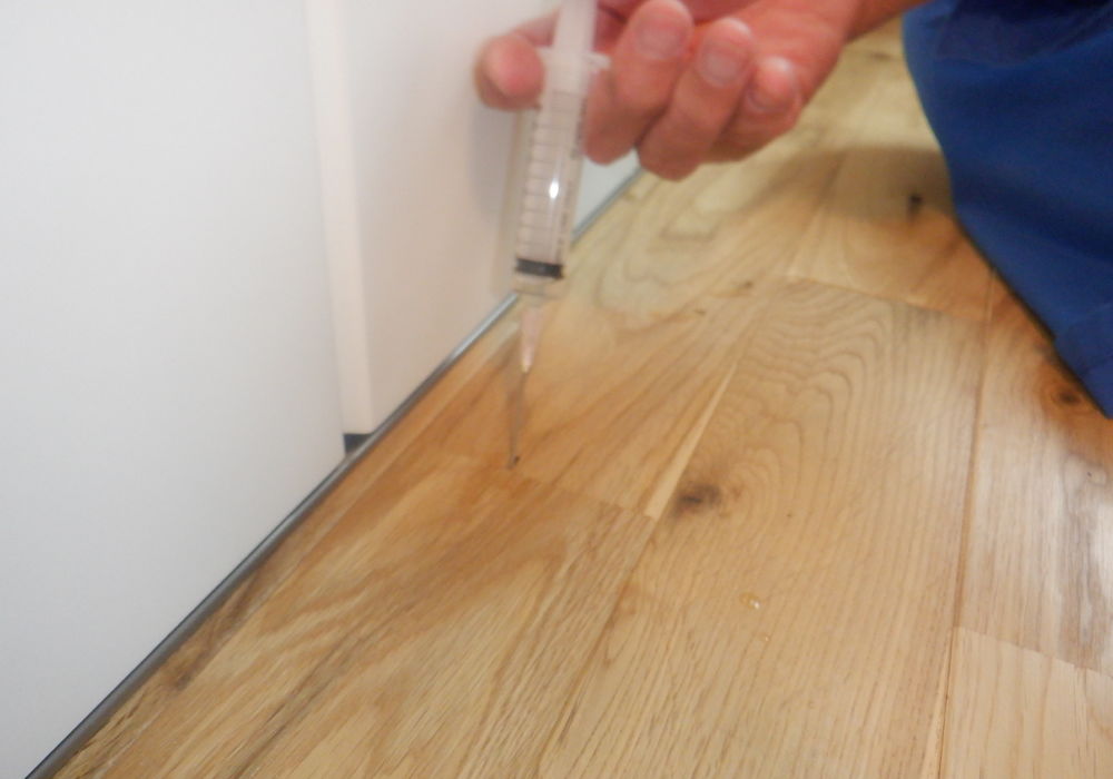 ゴキブリ・クロアリ駆除のプロフェッショナル