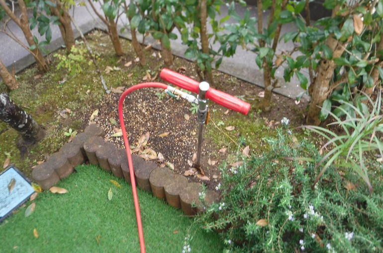 シロアリ駆除