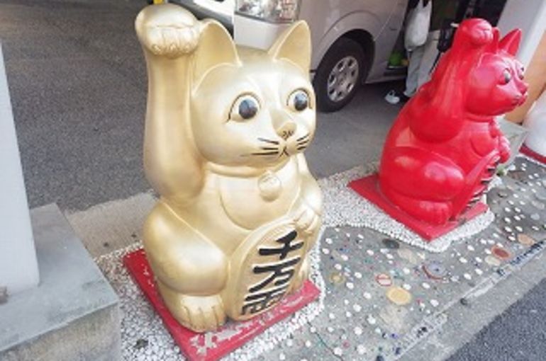 木材保存センター