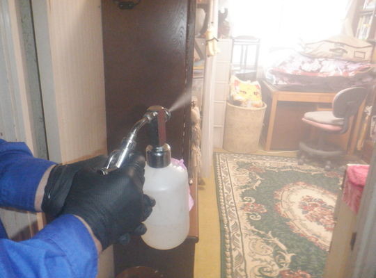 「トコジラミ撃退 - あなたの快適な睡眠を守る」