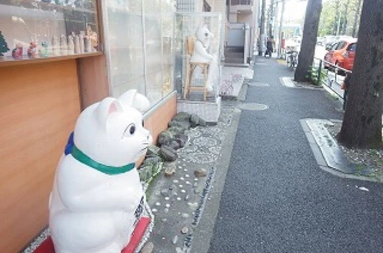 木材保存センター