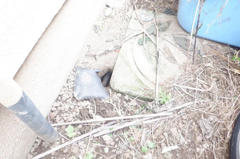 ネズミ侵入口検査
